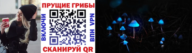 Псилоцибиновые грибы MAGIC MUSHROOMS  купить закладку  Шиханы 